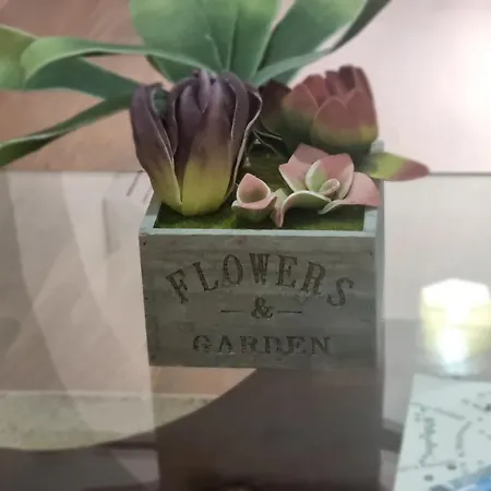 Mihal Popi Appartement *